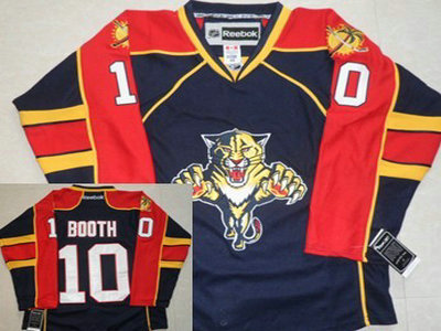 Florida Panthers 10 David Booth Blue Jersey